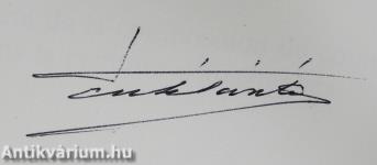 Anaglyphenmalerei peinture d'anaglyphes anaglyph painting (aláírt példány)