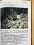 Debreceni Pozsgástár 2002/1-4.