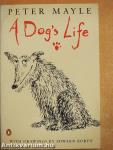 A Dog's Life