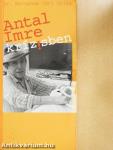 Antal Imre krízisben