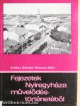 Fejezetek Nyíregyháza művelődéstörténetéből