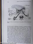 Extremely Low Frequency Electromagnetic Fields: The Question of Cancer