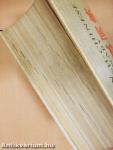 A New English-Chinese Dictionary