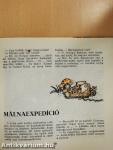Bukdács, Bukfenc és a többiek