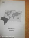 Investment in Brazil