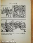 Oxford Progressive English Alternative Course - Book B