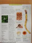 Encyclopedia of Herbal Medicine