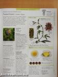 Encyclopedia of Herbal Medicine