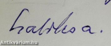 Balassi Bálint, az istenkereső (dedikált példány)