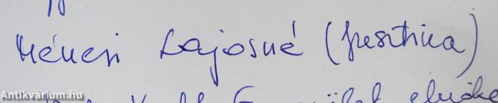 Algyői paletta (dedikált példány)