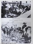 A magyar holocaust I-II.
