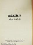 Brazília jelene és jövője