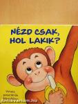 Nézd csak, hol lakik?