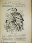 Természettudományi Közlöny 1881. január-december