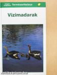 Vízimadarak