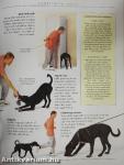 RSPCA Complete Dog Training Manual