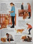 RSPCA Complete Dog Training Manual