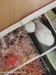 The Pocket Encyclopedia of Cacti and Succulents in Color