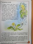 Olvasókönyv 2.