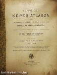 Schneider képes átlásza (nem teljes) (rossz állapotú)