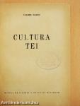 Cultura Tei