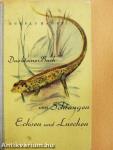 Das Kleine Buch von Schlangen, Echsen und Lurchen