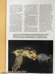 National Geographic August 1994