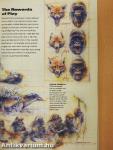 National Geographic December 1994
