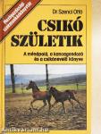 Csikó születik