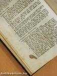 Bibliothek für Prediger I-VIII. (gótbetűs)