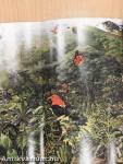 National Geographic July 1990
