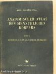 Anatomischer Atlas des Menschlichen Körpers I.