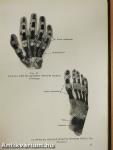 Anatomischer Atlas des Menschlichen Körpers I.