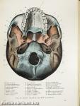 Anatomischer Atlas des Menschlichen Körpers I.