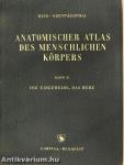 Anatomischer Atlas des Menschlichen Körpers II.