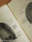 Anatomischer Atlas des Menschlichen Körpers II.