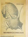 Weinbergschnecken
