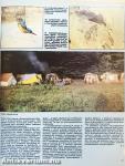 Nimród 1984. január-december/Nimród Fórum 1984. augusztus, október/Karácsonyi melléklet