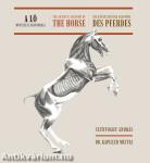 A ló művészeti anatómiája (magyar-angol-német nyelvű)