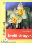 Évelő virágok