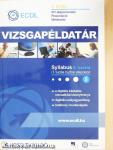Vizsgapéldatár II.