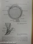 Ophthalmologie