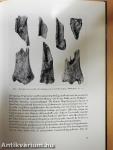 Archäologie des Eiszeitalters