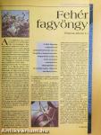 Új Elixír Magazin 1996. január-december