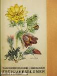 Frühjahrsblumen