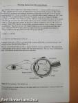 Protecting Workers from Ultraviolet Radiation