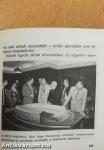 Világbajnokságok zöld gyepen (minikönyv) (számozott)