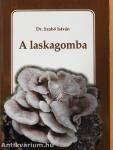 A laskagomba