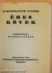 Éhes kövek (minikönyv)