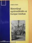 Büntetőjogi együttműködés az Európai Unióban